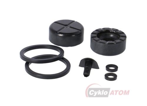 SRAM CALIPER PISTON KIT 2 PISTON 21 mm PHEN